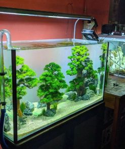 Đèn LED thủy sinh chiếu sáng bể cá cảnh