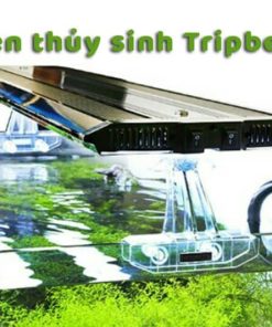 Đèn thủy sinh Tripbe H lắp trên bể cá