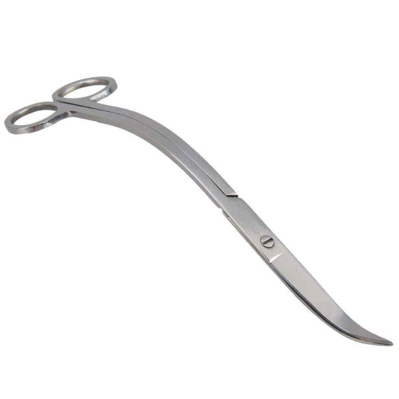 Kéo Tỉa Cây Thủy Sinh Cong Inox Chuyên Dụng 3 Kéo Tỉa Cây Thủy Sinh Cong Inox Chuyên Dụng 2