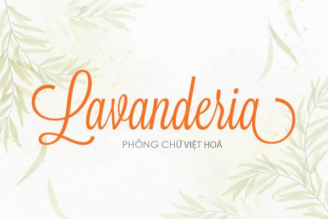 Lavenderia