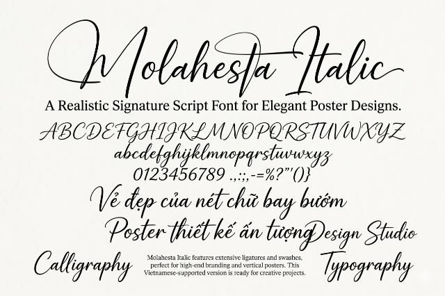 molahesta italic