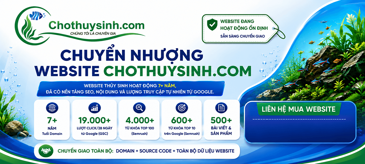 banner ban web cho thuy sinh 5